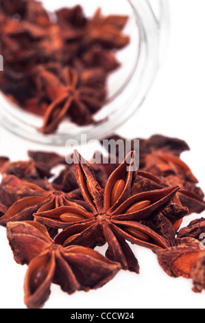 dried anise star spice illicium verum isolated on white Stock Photo