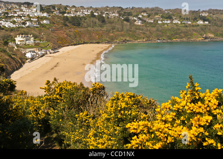 A view of Carbis Bay beach in West Cornwall at low tide. Stock Photo