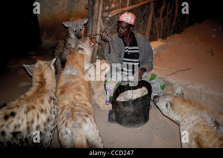 hyena man Stock Photo