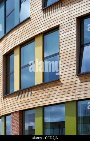 OPEN ACADEMY, SHEPPARD ROBSON, NORWICH, 2010, DETAIL OF CURVED EXTERIOR WINDOWS Stock Photo