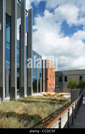 Wiltshire County Council''S New Offices On A Sensitive Historic Site In Salisbury Are A Marriage Of A New, Low Energy, Flexible Stock Photo