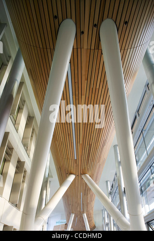 o2 headquarters, tp bennett, bath road, slough, berkshire, uk, 2009. close up interior view the support pillars wooden ceiling Stock Photo