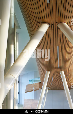 o2 headquarters, tp bennett, bath road, slough, berkshire, uk, 2009. close up interior view the support pillars wooden ceiling Stock Photo