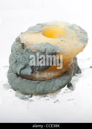 pineapple rings with mould Stock Photo