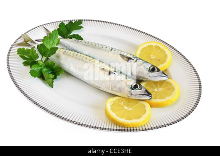 dish with mackerels with lemon and parsley isolated on white background with clipping path Stock Photo