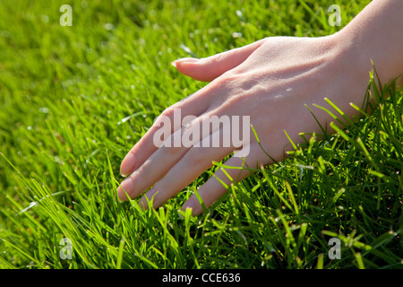 Hand touch grass Stock Photo by ©Taden1 2650576