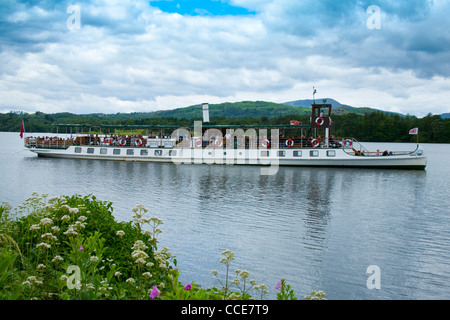 Tern, Cruiser, Ambleside, Lake Windermere, Cumbria, UK Lake District Stock Photo