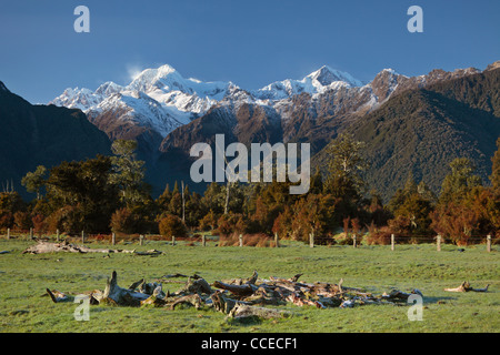 View of Mt Cook (Aoraki) and Mt Tasman as seen from near Lake Matheson in New Zealand Stock Photo
