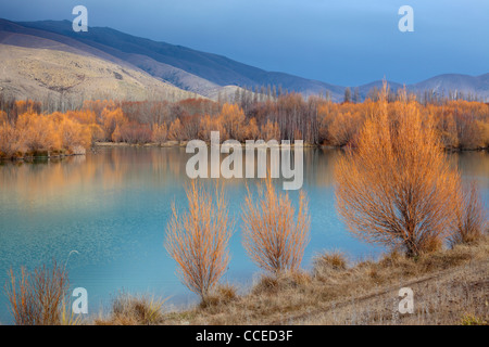 Colorful willows reflected in the bright blue water of Wairepo Culvert near Twizel in New Zealand Stock Photo