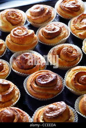 Fresh Cinnamon Buns Stock Photo