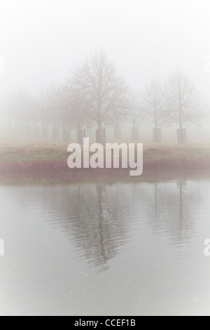 Trees in Home Park are planted in rows and create converging lines of perspective. The thick fog adds atmosphere. Stock Photo