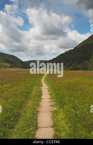 A footpath near Muker in Upper Swaledale Yorkshire Stock Photo