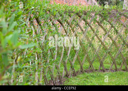 Live Willow woven screen fencing or fedge, England, UK Stock Photo