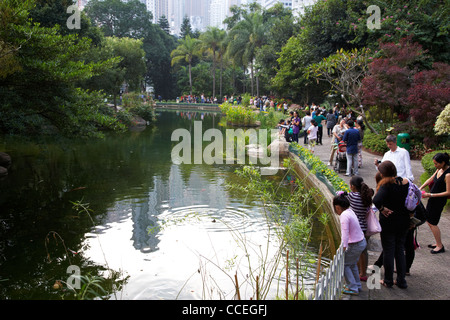 artificial lake in hong kong park central hksar china asia Stock Photo