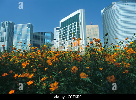 Hama Rikyu Garden with modern buildings of Shiodome area in the background, Tokyo, Japan Stock Photo