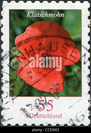 GERMANY - CIRCA 2005: A stamp printed in Germany, shows the flower of Corn Poppy (Papaver rhoeas), circa 2005 Stock Photo
