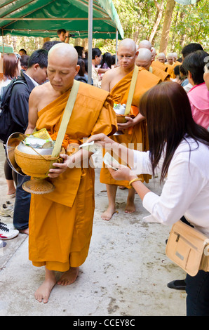 Newly ordained Buddhist monks with shaved heads & wearing orange robes walk by people putting gifts in bowls they are carrying Stock Photo