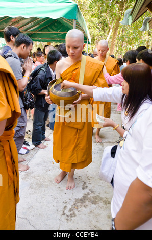 Newly ordained Buddhist monks with shaved heads & wearing orange robes walk by people putting gifts in bowls they are carrying Stock Photo