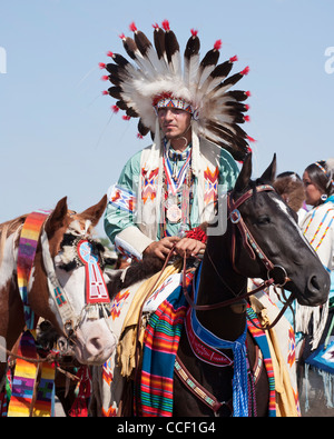 A Native American Indian man with his horse Stock Photo - Alamy