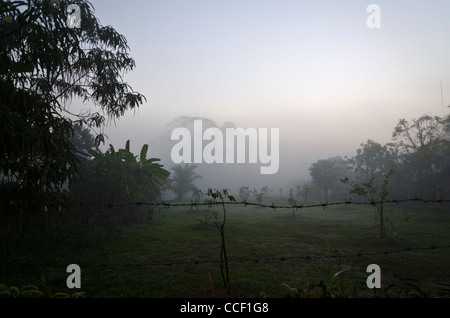 Winter fog at dawn in the countryside of northern Thailand near Chiang Mai with trees silhouetted & barbed wire fence in front Stock Photo