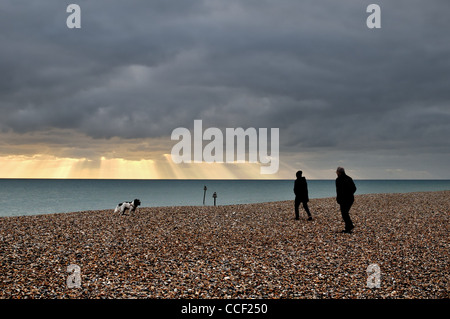 Mature couple walking dog on beach in winter Stock Photo