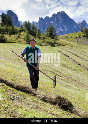 Meadow Raking Italian alpine pastures Stock Photo - Alamy
