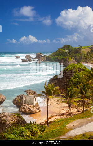 Rocky coastline along the eastern shore of Barbados at Bathsheba Beach, West Indies Stock Photo
