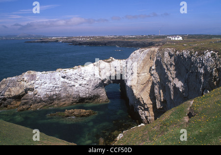 Bwa Gwyn (White Arch) Natural rock arch on coast of Holy Island Near Rhoscolyn Holyhead Mountain Anglesey North Wales UK Stock Photo