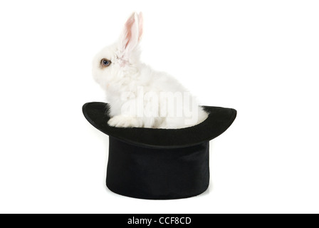 Little rabbit at magic hat isolated on a white background  Stock Photo