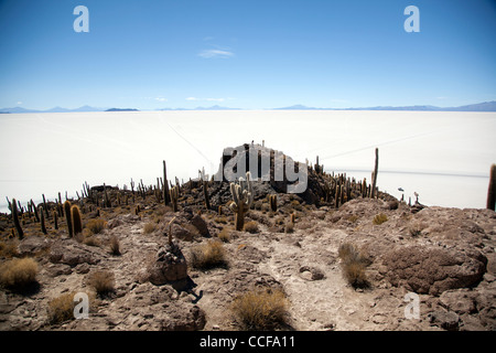 Incahuasi Island, or the Island of the cacti, in Bolivia's Salar de Uyuni, the world's largest salt flat and major tourist site. Stock Photo