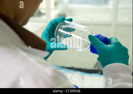 Nov. 9, 2010 - Bogota, Colombia - Bogota, Colombia, November 8, 2010 - An entomologist with the National Institute of Health (NIH) in Bogota runs a test on mosquitos placed in jars laced with pesticide stock at the NIH entomology lab in Bogota. By constantly testing the susceptibility of mosquitoes  Stock Photo