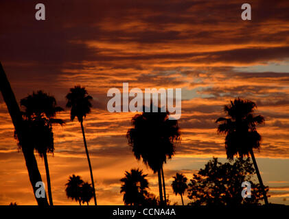 Sep 08, 2004; Los Angeles, CA, USA; A beautiful Sunset  in Los Angeles on Wednesday, September 8, 2004. Stock Photo