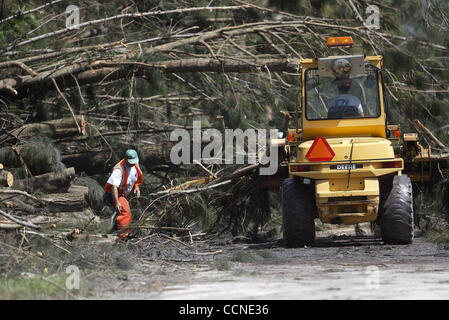 092704 tj hur jeanne h -- Staff photo by Taylor Jones/09-27-04. INDIANTOWN, FL.  Workers cut down and remove several large trees that Hurricane Jeanne blew down across SW Washington Avenue in Indiantown. OUT SUN SENTINEL. OUT STUART NEWS, OUT MAGAZINES, NO SALES Stock Photo