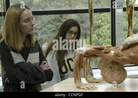 Nov 22, 2004; Los Angeles, CA, USA; Visitors take a good look at the latest anatomical plastination added to the exhibit 'Body Worlds Exhibition' at the California Science Center Monday 22nd 2004. This new generation of plastinates will be previewed to a select audience consisting of Body Worlds fir Stock Photo