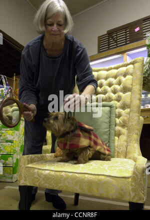 Marilyn Starr, of Sacramento, uses a handcarved wood comb and mirror to play with her 15-year-old Yorkshire Terrier 'Andrew' as he sits on an antique chair at Alley Cats Thrift & Collectibles on Main Street in Martinez, Calif., on Thursday, November 18, 2004. Starr came to the store to visit her fri Stock Photo