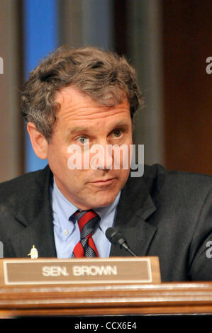 sherrod brown committee and caucus assignments