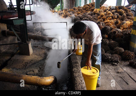 Mar 25, 2011 - Isulan, Mindanao Island, Philippines - Filipino worker is  seen at the processing plant for oil palm fruits. Palm oil is considered as important as its other resources as it aims for growth. Asian firms like those in Indonesia and Philippines might take the lead in the production of p Stock Photo