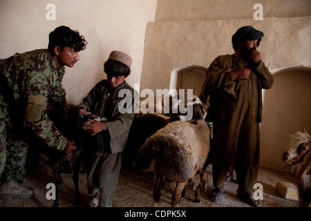 Apr 27, 2011 - Town of Naw Zad, Naw Zad district, Helmand, Afghanistan - An ANA soldier from 4th Company, 3rd Kandak, 2nd Brigade of 215th Afghan National Army Corps checks a goat at the Bazar of Naw Zad in Naw Zad district in Helmand province, Afghanistan, Wedensday. While security in the area has  Stock Photo
