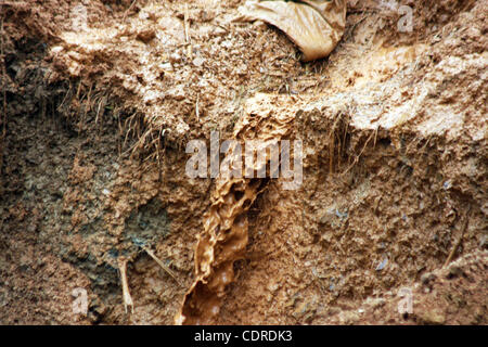 Apr 23, 2011 - Pantukan, Compostella Valley, Philippines - Mud seen at the landslide site where rescuers search for people missing Saturday after an avalanche of mud buried an illegal gold mining camp on Friday, April 22, 2011 in the town of Pantukan in Compostella Valley in the southern Philippines Stock Photo