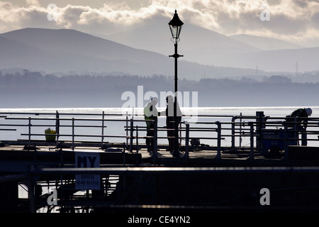Construction workers working on the site of the upgrade to the pier at Beaumaris on the Isle of Anglesey in North Wales. Stock Photo