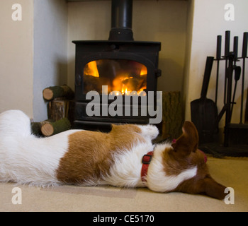 A cute Parsons Russell terrier lies in front of a wood-burning stove Stock Photo