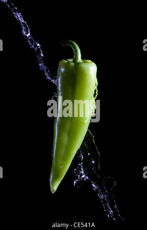 Green pepper splashed by water over black background Stock Photo