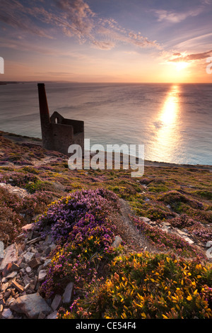 Cornish sunset, St Agnes, Cornwall, England. Summer (August) 2011. Stock Photo