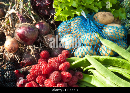 allotment produce,summer fruit and vegetables, onions, runner beans, lettuce, raspberries, blackberries, potatoes in string bag Stock Photo