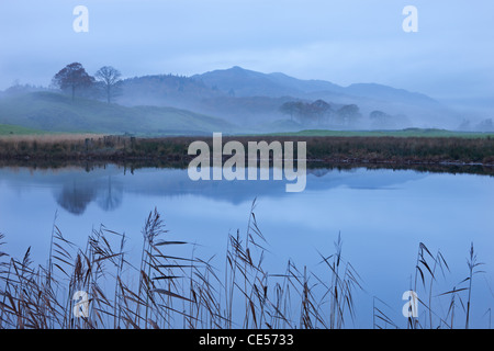 River Brathay on a misty morning near Elterwater, Lake District, Cumbria, England. Autumn (November) 2011. Stock Photo