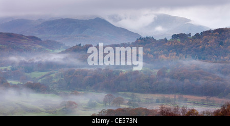 Mist lurks in the Brathay Valley near Elterwater, Lake District National Park, Cumbria, England. Autumn (November) 2011. Stock Photo