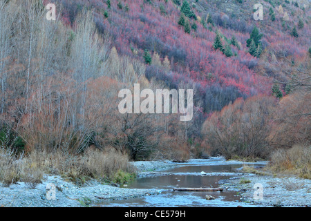 Winter color along the shores of the Arrow River in Arrowtown, New Zealand Stock Photo