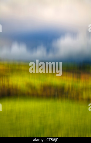 Impressionist image of green fields and sky. Fields and rolling hills. Countryside. Northland North Island, New Zealand. Stock Photo