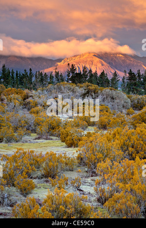 Mountains near Te Anau as seen from the Wilderness Area Scientific Reserve Stock Photo