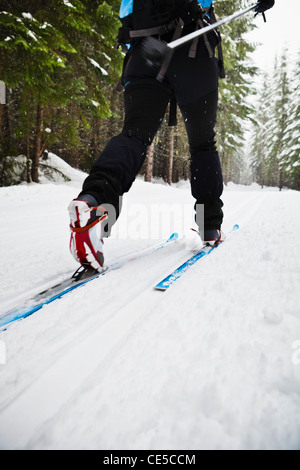 Low angle view of a woman cross country skiing in classic style on a groomed track, Cabin Creek, WA. Stock Photo
